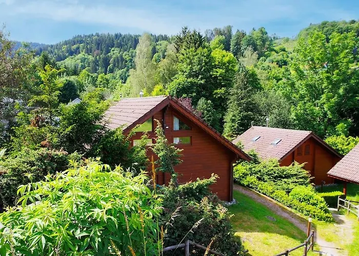 Les Brimbelles Avec Jacuzzi Gérardmer